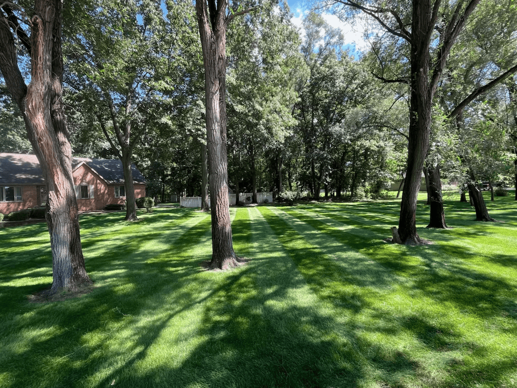 Wooded property lawn striping